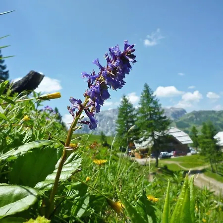 Nassfeld Wulfenia Da Livio Hotel