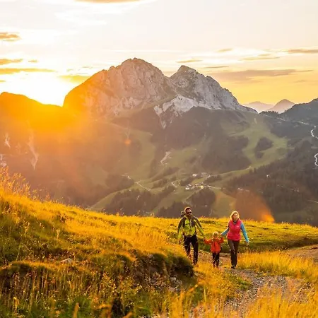 Fruehstueckspension Wulfenia Da Livio Hotel Passo Pramollo